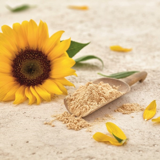 What is Sunflower Lecithin? Is it good for you? What are the benefits?