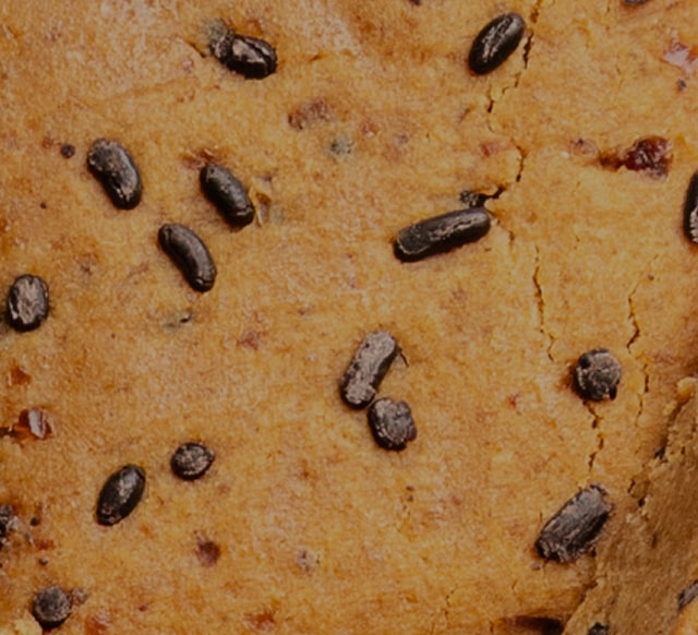 Peanut Butter Chocolate